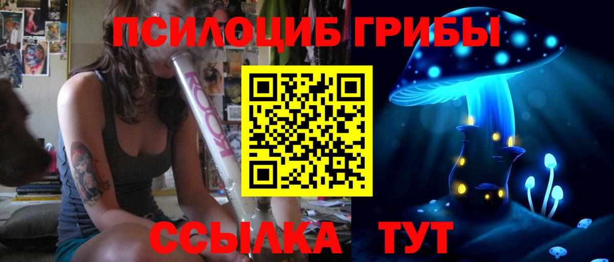 Энгельс  Галлюциногенные грибы Cubensis  Вход с VPN 
